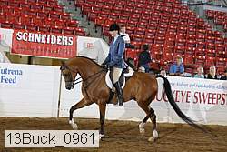 13buck_0961 proof
