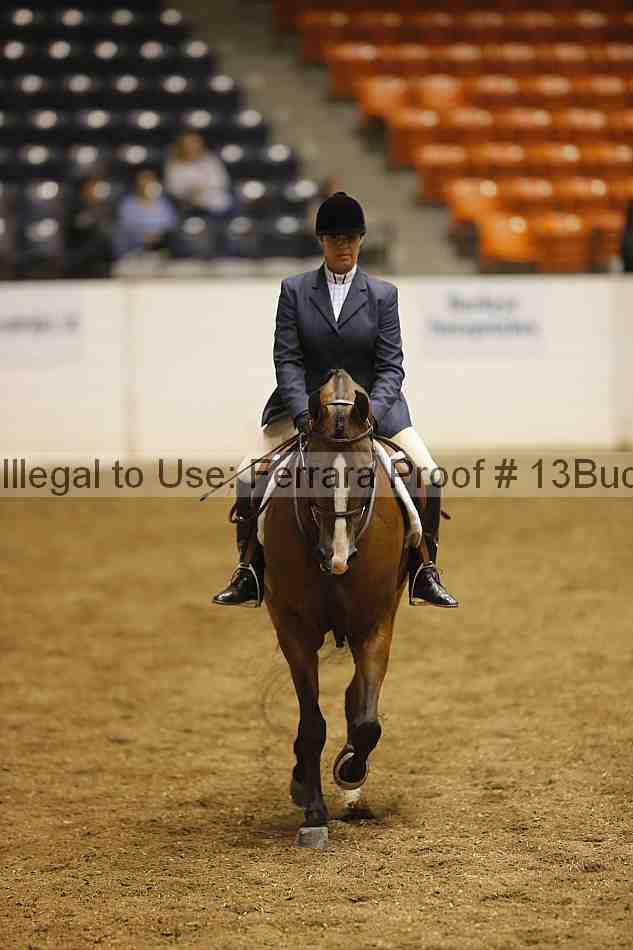 Proof 13buck_0962
