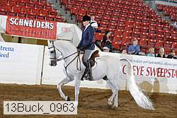 13buck_0963 proof