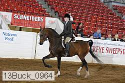 13buck_0964 proof
