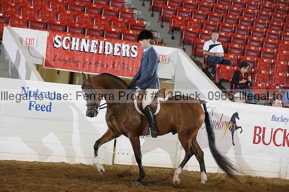 Proof 13buck_0965