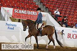 13buck_0965 proof