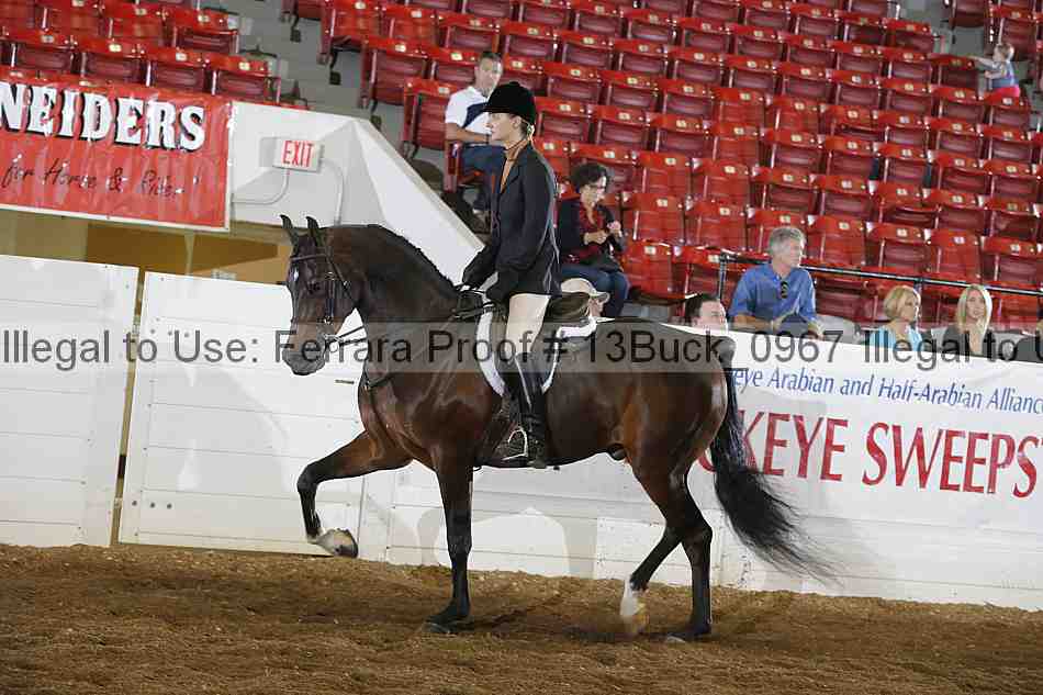 Proof 13buck_0967