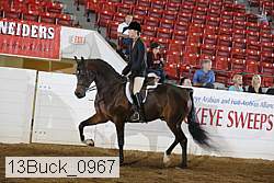 13buck_0967 proof