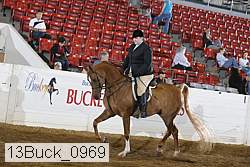 13buck_0969 proof