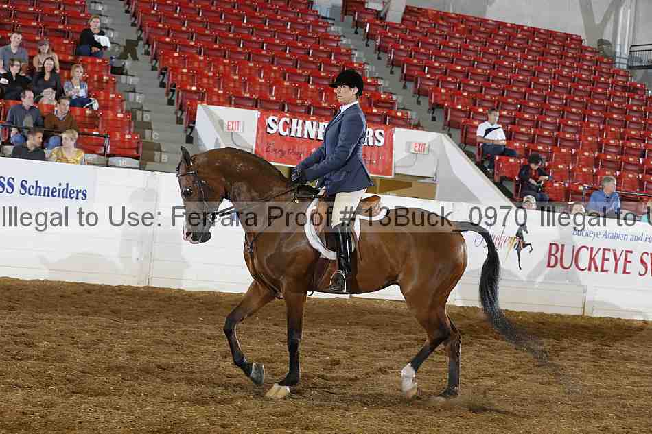Proof 13buck_0970