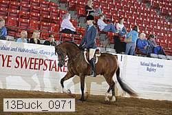 13buck_0971 proof