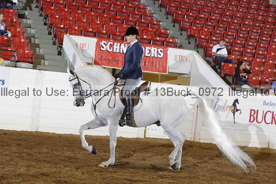 Proof 13buck_0972
