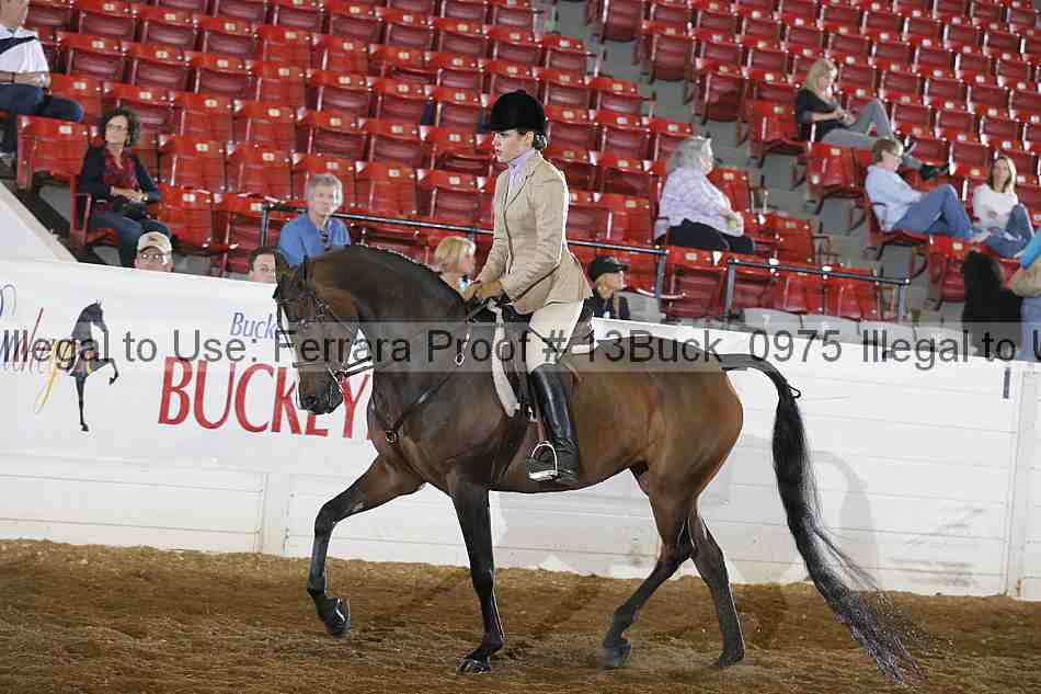 Proof 13buck_0975