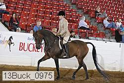 13buck_0975 proof