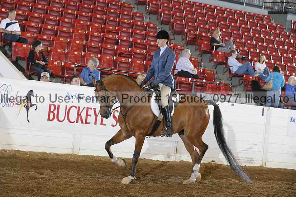 Proof 13buck_0977