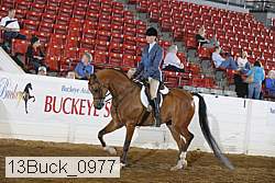 13buck_0977 proof