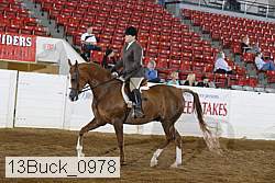 13buck_0978 proof