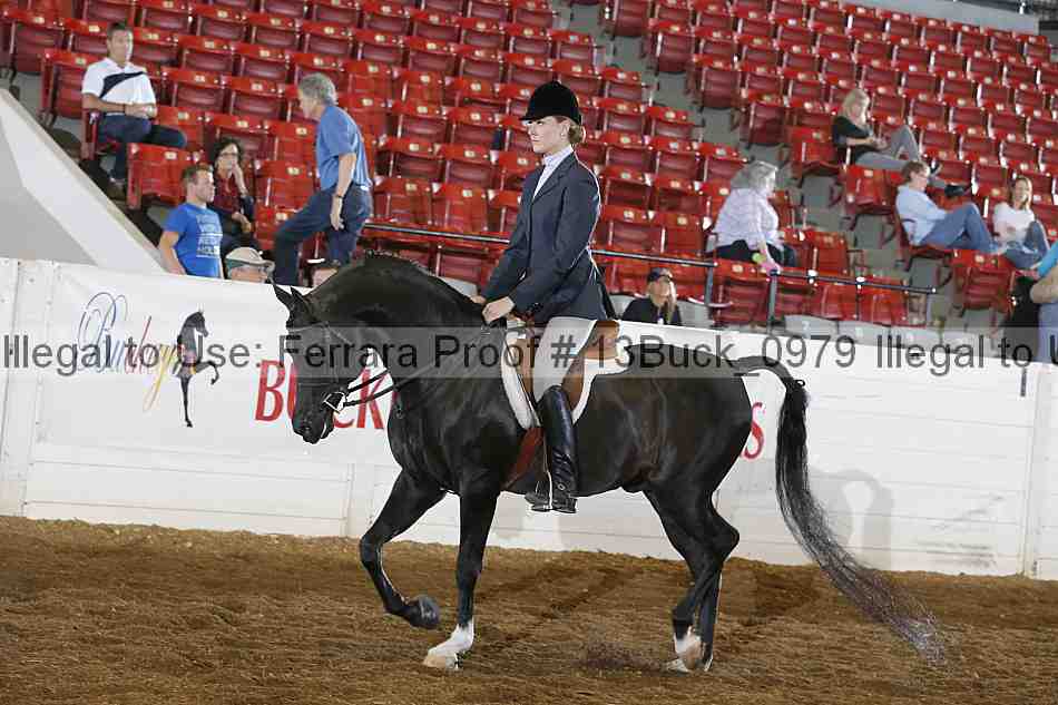 Proof 13buck_0979