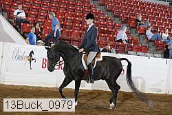 13buck_0979 proof