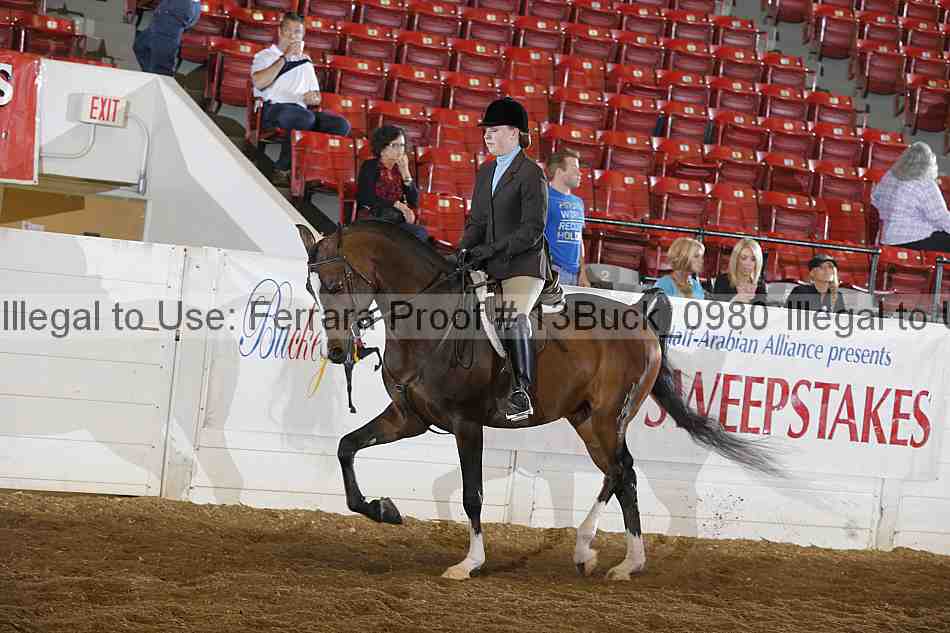 Proof 13buck_0980