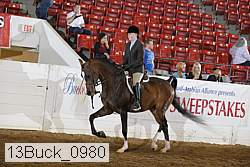 13buck_0980 proof