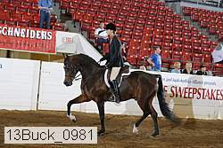 13buck_0981 proof
