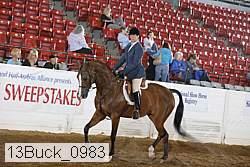 13buck_0983 proof