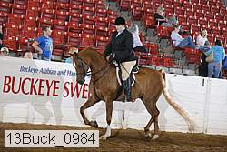 13buck_0984 proof