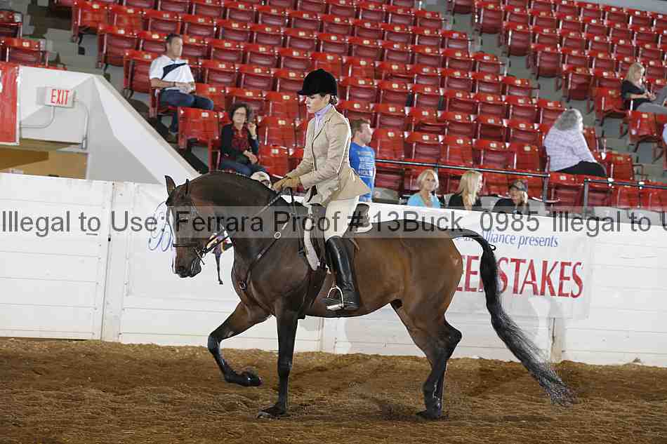 Proof 13buck_0985