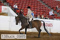 13buck_0985 proof