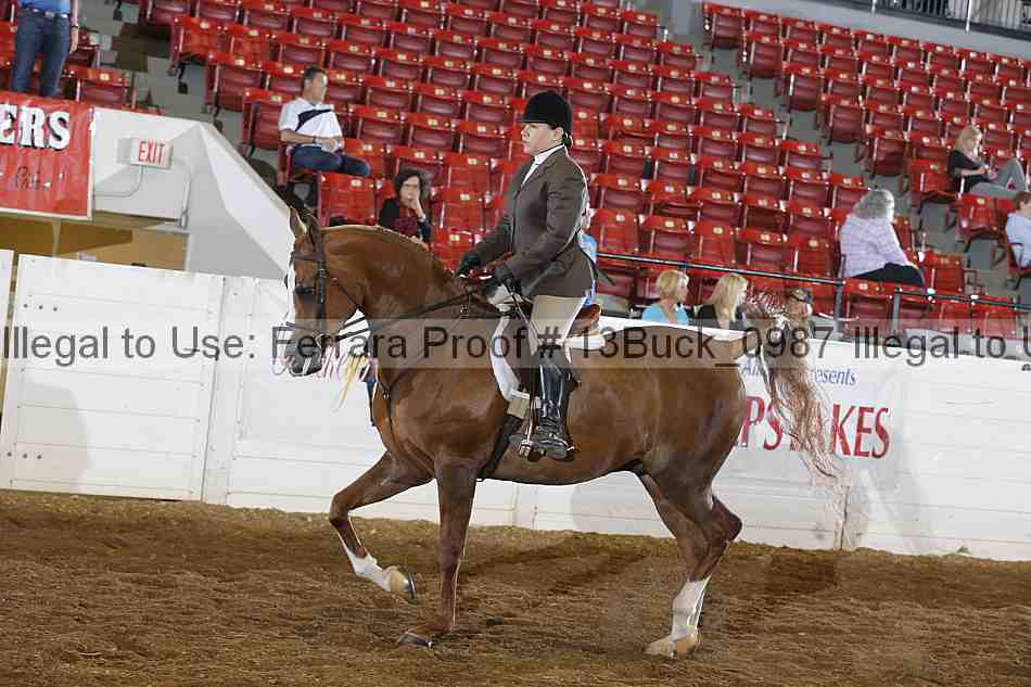 Proof 13buck_0987