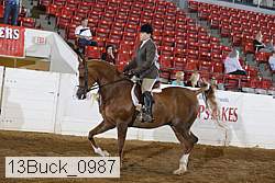 13buck_0987 proof