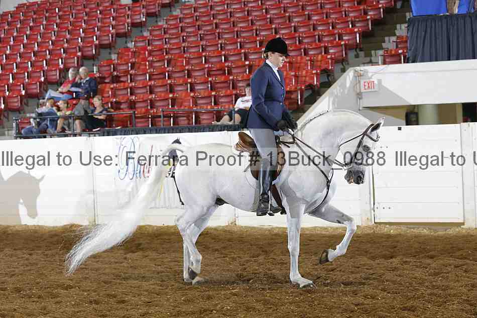 Proof 13buck_0988