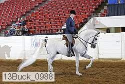 13buck_0988 proof