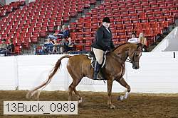 13buck_0989 proof