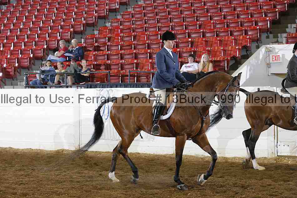 Proof 13buck_0990