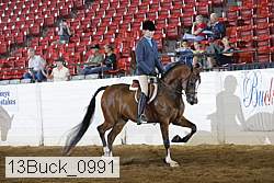13buck_0991 proof