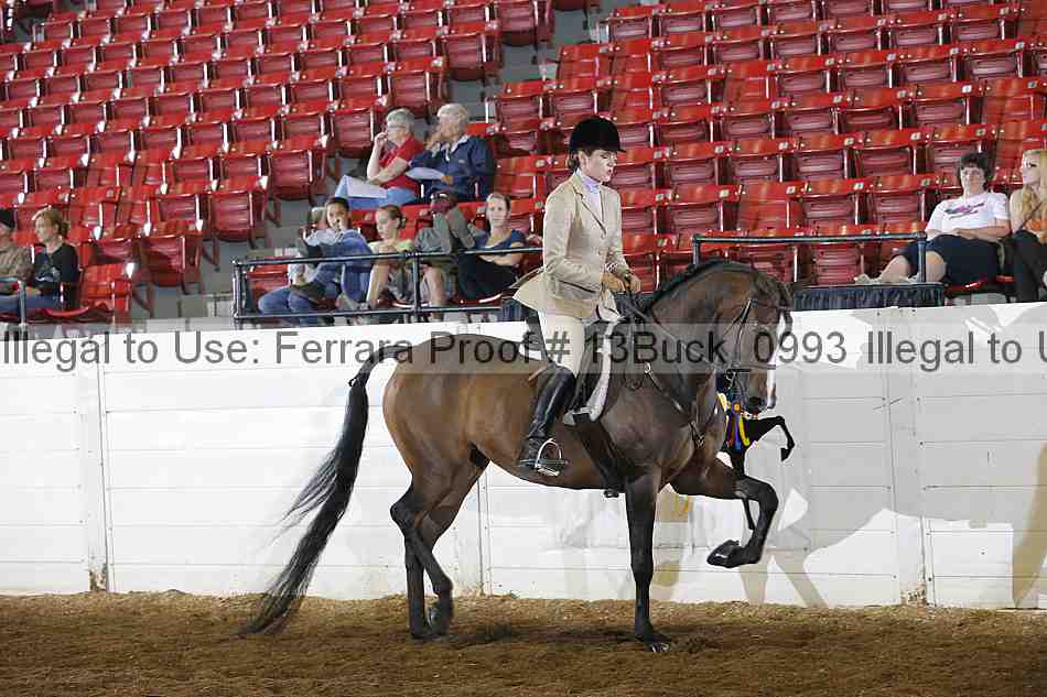 Proof 13buck_0993