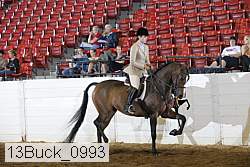 13buck_0993 proof