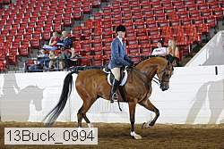 13buck_0994 proof