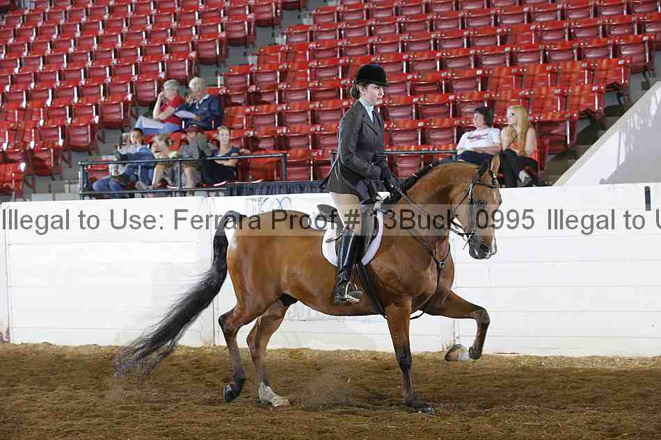 Proof 13buck_0995