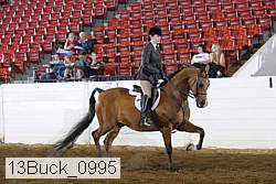 13buck_0995 proof