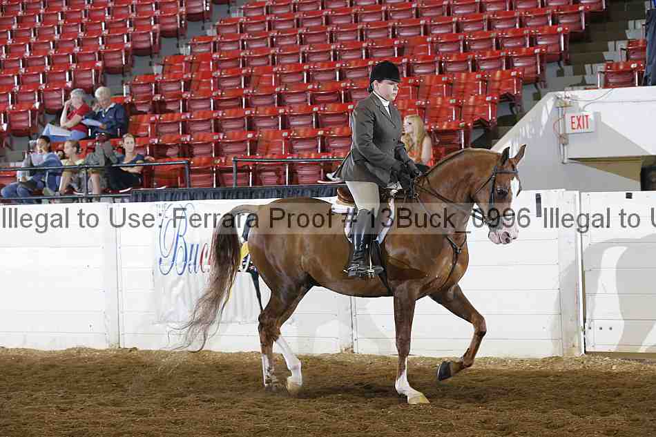 Proof 13buck_0996