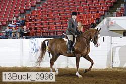 13buck_0996 proof