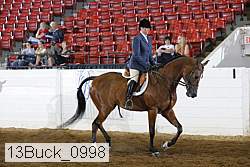13buck_0998 proof