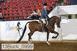13buck_0999 proof
