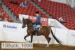 13buck_1000 proof