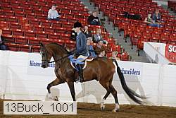 13buck_1001 proof