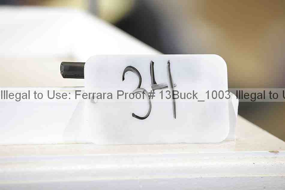 Proof 13buck_1003
