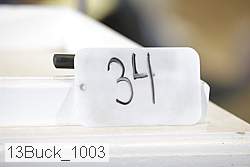 13buck_1003 proof