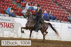 13buck_1004 proof