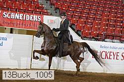 13buck_1005 proof