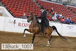 13buck_1007 proof
