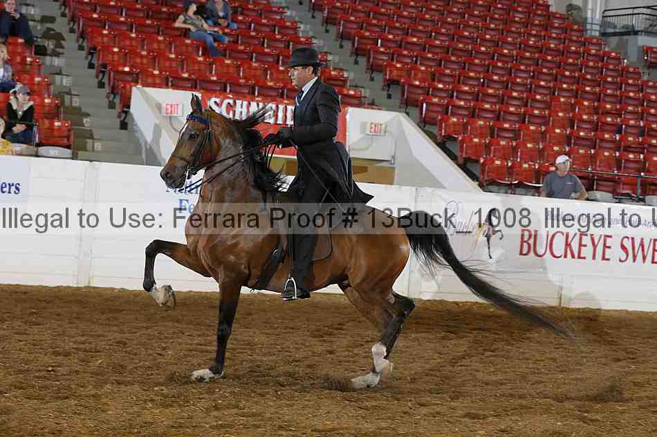 Proof 13buck_1008